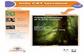 Info CST lorraine - dr6.cnrs.fr janvier 2012.pdf · et sombres. Ce « camouflage » leur permet de se dissimuler plus efficacement dans les sous-bois, les herbes hautes comme les