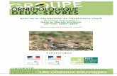 Lot N° 8 : Oiseaux de plaine céréalière en Marais Poitevinbiodiversite.parc-marais-poitevin.fr/IMG/pdf/Suivi_de_la... · confère un camouflage précieux pour se dissimuler. Sa
