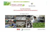 31 Mars 2017 - axelera.org · Désorption thermique Caractérisation Potentialité de traitement ou de valorisation Faisabilité à l'échelle du laboratoire Validation à Température