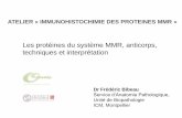 Les protéines du système MMR, anticorps, techniques et ... · ATELIER « IMMUNOHISTOCHIMIE DES PROTEINES MMR » Les protéines du système MMR, anticorps, techniques et interprétation