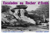 Le renouveau du Rocher d 'Avon - grimporama.free.frgrimporama.free.fr/topos-bleau/topo_rocher-avon.pdf · Le renouveau du Rocher d 'Avon Colline longue de 2 kilomètres bordant, au