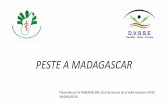 PESTE A MADAGASCAR - Santé publique France · La peste est une maladie zoonotique due à la bactérie appelée Yersinia pestis se transmet à l’homme par piqure des puces infectés