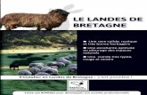 LE LANDES DE - races-de-bretagne.fr · autonomie enjeux d’avenir, agro-Écologie : les rÉponses de l’ Élevage le landes de bretagn de belle-ile