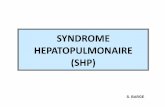 SYNDROME HEPATOPULMONAIRE (SHP) - hepatoweb.com · • Terme ulisé depuis 1977 (Kennedy TC et al. Chest 1997) • ... Radio de thorax, EFR, ETT . Hétérogénéité régionale des