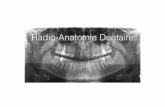 Radio-Anatomie Dentaire - ekladata.comekladata.com/echangeinfos.eklablog.fr/perso/4.1-Radio-anatomie... · Les facteurs qui inﬂuencent la qualité de la radiographie Aﬁn de fournir