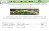 LA FEUILLE DE CHOU - occe.coopad60/IMG/pdf/Feuille_de_chou_no21_avril_2016... · Le jasmin, le mimosa, les cosmos, muflies, œillets, nigelles, soucis, tournesols, cannas, zinnias,