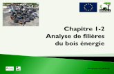 recherche: Rapport sur l’état de l’art du bois énergie en ... Analyse de filières du bois... · Pré-recherche: Rapport sur l’état de l’art du bois énergie en RDC: Analyse
