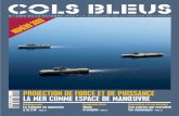 PROJECTION DE FORCE ET DE PUISSANCE - cols-bleus-fr.s3 ...cols-bleus-fr.s3.amazonaws.com/exemplaires/pdf/CB_3000.pdf · vedt, inspecteur général de la Marine. Une fois les honneurs