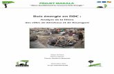 Bois énergie en RDC - ur-forets-societes.cirad.fr · Bois énergie en RDC : Analyse de la filière des villes de Kinshasa et de Kisangani Jolien Schure Verina Ingram Claude Akalakou-Mayimba