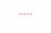 TD 4b: PCR - montpellier.inra.fr · Détermination de la taille optimale des amorces • Spécificité de l’hybridation assurée par – T° hybridation – longueur de l’amorce