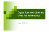 Digestion microbienne chez les ruminants - cours-examens.orgcours-examens.org/.../Physio...microbienne_chez_les_ruminants2012.pdf · Plan Milieu ruminal Ecosystème microbien du rumen