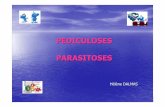 PEDICULOSES PARASITOSES - communauté infirmière · A –Epidémiologie-La plus fréquente-Due au pediculus Capitis-Parasite exclusif de l’homme-Très contagieuse mais bénigne-