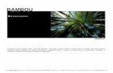 BAMBOU - goetgheluck.com · Le bambou est une plante à part. C’est une graminée. Une herbe, ni plus ni moins, comme le blé ou l’avoine, mais dont certaines espèces peuvent
