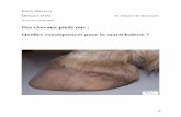 Des chevaux pieds nus : Quelles conséquences pour la ...bruno.maudouit.free.fr/telechargement/Memoire_BTM_Bloch.pdf · L’homme introduit une permanence du lien affectif qui n’existe