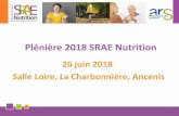Plénière 2017 SRAE Nutrition · (6/4 et 23/11 –213 pers) 8 ... 36 Bilan 5 Octobre 2017 Diabète Textures modifiées Enrichissement Alimentation plaisir et fin de vie TCA Régimes