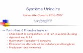 Syst¨me Urinaire - Universit© de Franche-Comt©universite- .Syst¨me Urinaire Universit© Ouverte