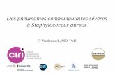 Des pneumonies communautaires sévères à Staphylococcus … · - Déterminer la proportion de SARM-Co responsables de pneumonie PVL+ Etude de cohorte - volet observationnel adultes
