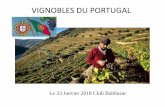 VIGNOBLES DU PORTUGAL - balthazar-oenologie.fr · Le Portugal demeure l’un des plus enthousiasmants pays vitivinicoles du monde. La France est la première destination mondiale