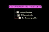 LA SÉPARATION DE MOLÉCULESLA SÉPARATION DE …uriell.free.fr/rapport-stage/SV1-Separation-des-molecules.pdf · PRINCIPE DE LA CHROMATOGRAPHIE D’ADSORPTIONPRINCIPE DE LA CHROMATOGRAPHIE