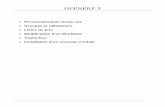 OPENERP 3 - itformation.comitformation.com/iir5/openErp3.pdf · OPENERP 3 Personnalisation d’une vue Groupes et utilisateurs Listes de prix Modification d’un Workflow Traduction