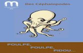 Des Céphalopodes - Museum Aquarium de Nancy · Les Coléoïdes Anatomie Les bras des Coléoïdes sont issus de la transformation du pied des Mollusques ancestraux et sont disposés