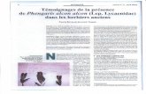 maculinea.pnaopie.frmaculinea.pnaopie.fr/wp-content/uploads/2014/02/BACHELARD-CHABROL... · ACTUALtTÉ oreina no 9 avril 2010 Témoignages de la présence de Phengaris alcon alcon