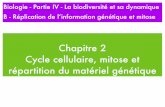 Chapitre 2 Cycle cellulaire, mitose et répartition du ...ekladata.com/bcpst1rostand.eklablog.fr/perso/Genetique/Diapo... · Chapitre 2 Cycle cellulaire, mitose et répartition du