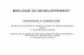 BASES CELLULAIRES ET MOLECULAIRES DU …huntingtherainbow.free.fr/embryo/DEVELOPEMENT_I_.pdf · i-1-3/ organogenese i-2/ caracteristiques de la differenciation cellulaire i-3/ caracteres