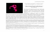 « Mouvement/Posture/Érotisme » dans le strip-tease (effeuillage) …isis.cnd.fr/IMG/pdf/Presentation_PHILIPPE_MEDEN.pdf · 2014-02-27 · Naéma Boudoumi, Cie Ginko Pierre Philippe-Meden,