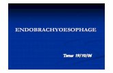 ENDOBRACHYOESOPHAGE - Hepatoweb.comhepatoweb.com/DES/DES_GO/SEMINAIRE_102006/EBO.pdf · 12% des EE avaies EE avaient EBO aprènt EBO après cicatrisation par IPs cicatrisation par