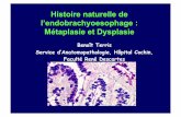 Histoire naturelle de l’endobrachyoesophage : Métaplasie ...hepatoweb.com/congres/Cochin2010/TERRIS.pdf · EBO et Métaplasie intestinale • Définition de l’EBO: – ne requiert