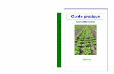 Guide pratique - IGAD-Gabon · - Rotation avec amarante et ciboule ... 7 Laitue C. Semis de la pépinière Semis en lignes 0,5 g / m² comme quantité de semence avec une distance