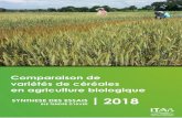 Comparaison de variétés de céréales en agriculture biologique · Visite des essais UMR IGEPP INRA de Rennes le 13 juin au GAEC de la Mandardière (35). Crédit photo Laurence