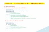 Viro 4 : Hépatite A - Hépatite E. - yaniss747.free.fryaniss747.free.fr/Medecine/S2/Viro/Viro 4.pdf · 2 I n t r o d u c t i o n Virus à transmission entérique: hépatite A et