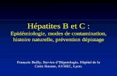 Hépatites B et C - hepatiteinfo.com VHB VHC SOS_FBa.pdf · Généralités • Le foie est un organe vital qui assure des fonctions de synthèse de régulation et de stockage •