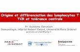Origine et différenciation des lymphocytes T TCR et ... · PDF fileTCR LyT antigène BCR LyB antigène BCR : B cell receptor (Ig de surface) Crées par recombinaison, diversité importante