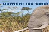 Namibie Derri¨re les fant´ - hunting- VdC.pdf  du pays, qui sâ€™enclave entre Angola et Zambie