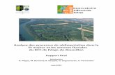 Analyse des processus de sédimentation dans le lit majeur ... · Analyse des processus de sédimentation dans le lit majeur et les annexes fluviales du RCC de Péage-de-Roussillon