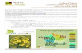 Colza d’hiver - myvar.fr · Conseil variétal régional Colza 2018 – Recommandations Terres Inovia – version 04/06/2018 Page 6 Commentaires variétaux - DK EXCEPTION est une