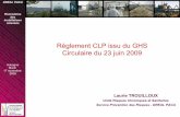 Règlement CLP issu du GHS Circulaire du 23 juin 2009 · DREAL PACA Rencontres des installations classées Aubagne Mardi 17 novembre 2009 Le Règlement CLP: Classification, Labelling,