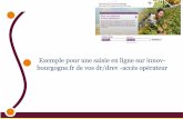 Exemple pour une saisie en ligne sur innov- bourgogne.fr ... · 3 2- Accès à la fiche personnelle Clic pour accès saisie de la DR Modifications autres que coordonnées (tel-fax-mail)