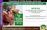 Vision, stratégie et contexte de mise en œuvre …vsf-international.org/wp-content/uploads/2016/01...6 A P E S S Association pour la Promotion de l’Elevage au Sahel et en Savane