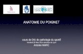 ANATOMIE DU POIGNET - orthopedie-lyon.frorthopedie-lyon.fr/wp-content/uploads/2012/02/Anatomie-du-poignet... 