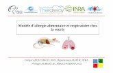 Modèle d’allergie alimentaire et respiratoire chez la souris · Modèle d’allergie alimentaire et respiratoire chez la souris 22 R A E L Grégory BOUCHAUD, PhD, Département