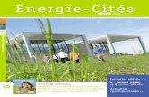 ECInfo 29 OKFAB - Energy Cities · ainsi que de Sandro Picchiolutto, ancien “energy manager” de la ville. Les rencontres personnalisées, le plus souvent en présence de l’élu