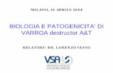 BIOLOGIA DI VARROA DESTRUCTOR · milano, 20 aprile 2008 biologia e patogenicita’ di varroa destructor a&t relatore: dr. lorenzo sesso