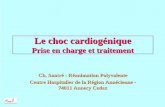 Prise en charge et traitement - reaannecy.free.frreaannecy.free.fr/Documents/cardiologie/Choc_cardiogenique.pdf · Choc cardiogénique Infarctus du myocarde aigu. • Etiologie la