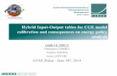 Hybrid Input-Output tables for CGE model calibration and ... · Hybrid Input-Output tables for CGE model calibration and consequences on energy ... Frédéric GHERSI Julien ... for