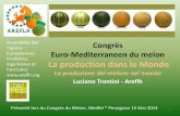 La production de melon dans le monde - areflh.org · FRANCIA 424% CINA 1.075% SPAGNA 433% ITALIA 239% EGITTO 564% ARGENTINA 766% USA 483% Il commercio mondiale di ortofrutta post-globalizzazione