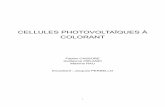 CELLULES PHOTOVOLTAÏQUE À COLORANTphysique.unice.fr/sem6/2011-2012/PagesWeb/PT/Cellule/Photovolaique.pdf · I. Introduction De nos jours, le photovoltaïque représente un enjeu